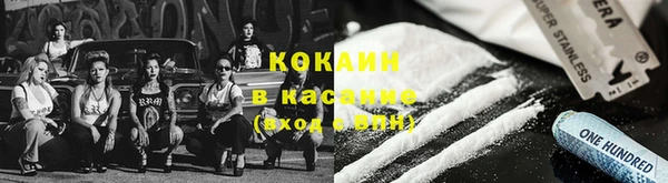 прущие грибы Аркадак