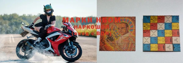 прущие грибы Аркадак