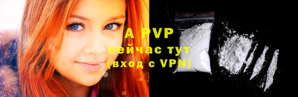 стаф Арсеньев
