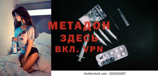 прущие грибы Аркадак