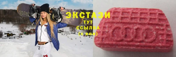 стаф Арсеньев
