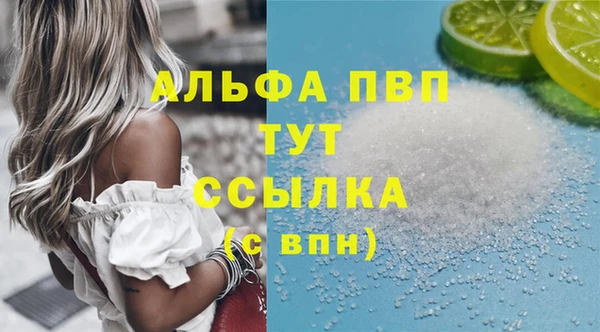 стаф Арсеньев