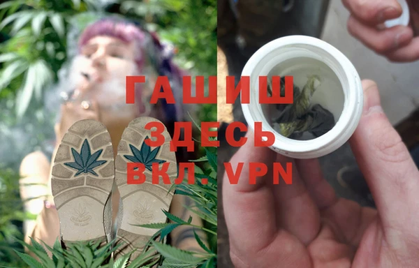прущие грибы Аркадак
