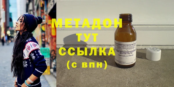 прущие грибы Аркадак