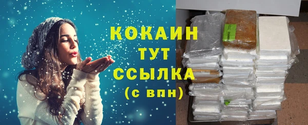 прущие грибы Аркадак
