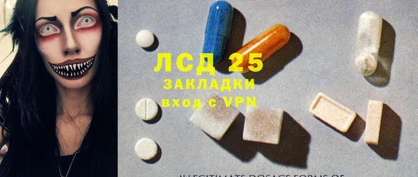 прущие грибы Аркадак