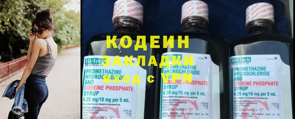 стаф Арсеньев
